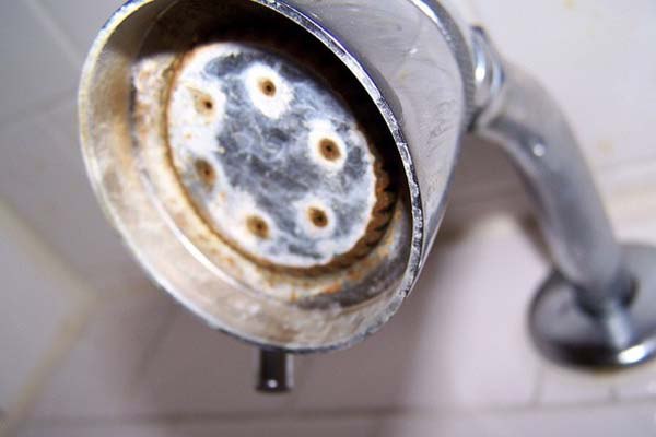 How Do Shower Water Contaminants Affect Our Health and Our Homes?