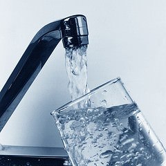 How Does Cooking with Unfiltered Tap Water Affect Your Food?
