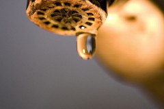 How Hard Water Affects the Performance of Your Home’s Faucets