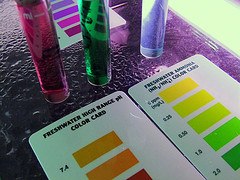 How is Water Quality Monitored?