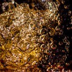 What Are the Effects of Tannins in Tap Water?