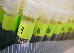 What is the Safe Drinking Water Act? Here’s What North and South Carolina Homeowners Should Know