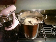 How Does Water Quality Affect the Home Brewing Process?
