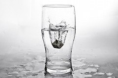 Why We Need to Drink More Water