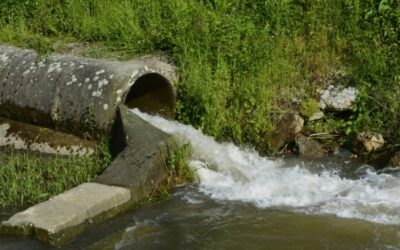Stormwater Runoff – The Impact It Has On Our Environment and What You Can Do About It