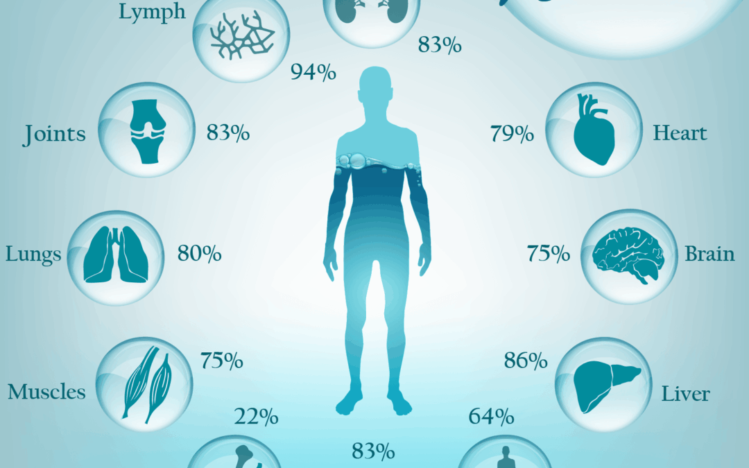 The Importance of Water To The Body