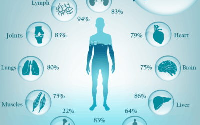 The Importance of Water To The Body