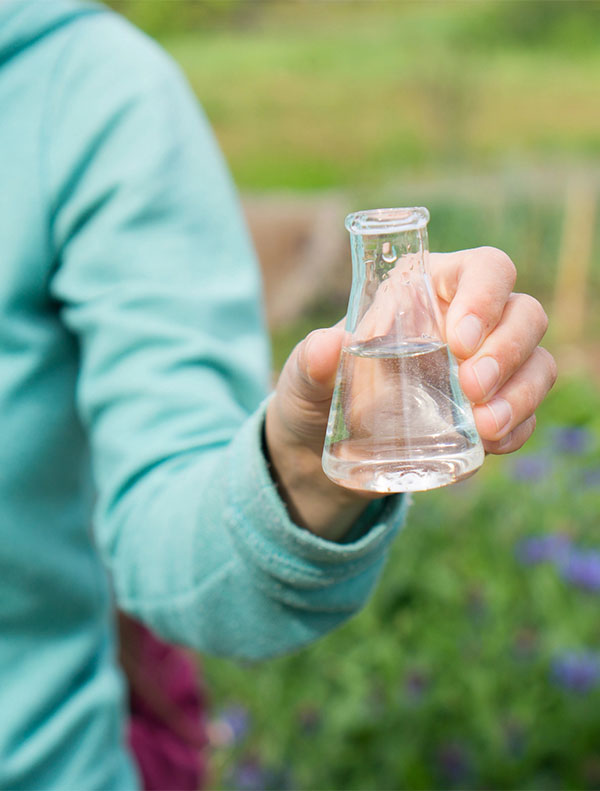 Water Purity Test Water Purity Test